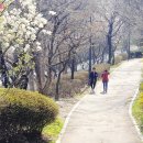 1순환로(3-179) 이미지