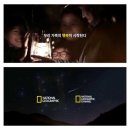 내셔널지오그래픽청주 - 청주시 청원구 공항로 238 | 내셔널지오그래픽청주