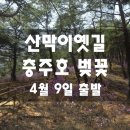 진달래꽃 피는 산막이옛길 + 하얀꽃비 흩날리는 충주호 이미지