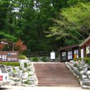 도선사 Daum카페