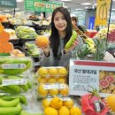 롯데마트 이미지