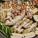 5911 | 양평시장맛집 효동곱창｜삼지창구이 제대로 먹고 온 양평역맛집 양평시장소곱창구이 후기 🔥