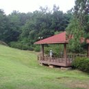 초록산등산로 이미지