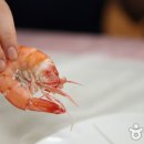 대하로 이미지