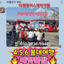 16캠핑버스테마여행 이미지
