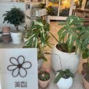 주정차32 | 💐 부산 거제동 꽃집 연중무휴, 24시간 픽업 가능한 퓨어니크 후기