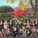 안성자연유치원 이미지