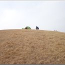 영화마을 이미지