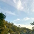 캠프 인더숲 이미지