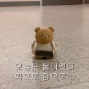 피스오브네일 | 키랜드 2025 언캐니밸리 오이콘 다녀온 후기👾💎