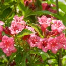 광시중학교 이미지