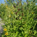 초연공원 이미지