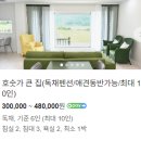 더 레이크 서지 이미지