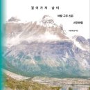 ( 여행 에세이 도서 추천 ) 걸어가자 남미 : 바람 구두 신은 시인처럼 / 노동효 지음 / 나무발전소 출판