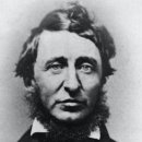 소로 소로 이미지