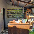 몸만house | 발리 우붓 Pacha House 파차 하우스 만족스러웠던 후기
