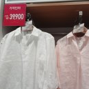 유니클로 프리미엄 리넨 스키퍼 칼라셔츠 행사 기간, 가격, XL 사이즈 구입 후기