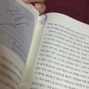 제품후기_책갈피 편 | 썸머필름 책갈피, 별꽃잎 비즈 센스있는 선물추천