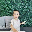 김옥영소아과 네이버블로그