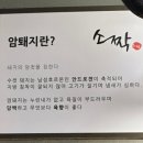 소짝제주