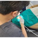 밝은결치과의원 이미지