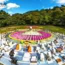 쉽게 배우는 스마트폰(기초) 이미지