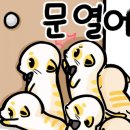하이제씨