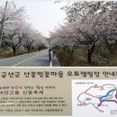 4/5(수) [충남] 금산 보곡산 산행 및 산벚꽃술레길 트래킹 ☆리무진☆ 이미지