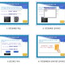 영평조록나무 | 제주 영평마을(정보화 마을)