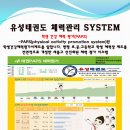 유성태권도 이미지