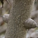 개산초등학교 이미지