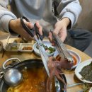 화산곰장어