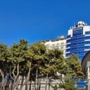 통나무아일랜드 이미지