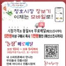청호시장 이미지