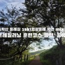 지에스25 구덕대림행운점 | 승학산 둘레길 19k 트레일러닝 훈련코스 공략/ 공유 용도 /n회전 장거리 나태지옥