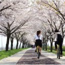 맥도생태공원 이미지