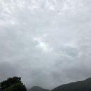 대물낚시터 | 용인 용덕저수지 배스낚시 신원낚시터의 엄청난 배스 후기