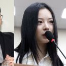 &#34;50억 받고 힘들다니&#34;..틴탑 출신 유투버, 국감 나간 하니 저격 이미지