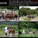 서광자동차랜드 이미지