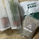 🌱초보 식집사를 위한 반려식물 추천, 셀프 분갈이 후기 (마이플랜트)