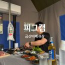 서대산로 | 금산바베큐 애견동반가능 숯불향가득 피그캠