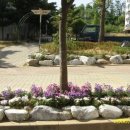 논현주공1단지 이미지