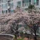 대한민국무공수훈자회 연제구지회 이미지