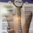 에스에이치뷰티 이미지