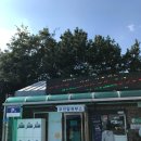 폭포 | 제주 서귀포 정방폭포 후기