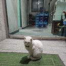 화로랑 | [남양주] 현지인 고기맛집 '양주골화로구이' 솔직후기