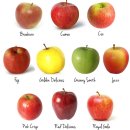 승화농장 이미지