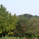 송죽마을회관 이미지