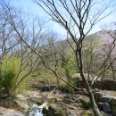 무의자전시관 | ♬ 여수 영취산 흥국사