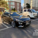 뉴 부영카 이미지